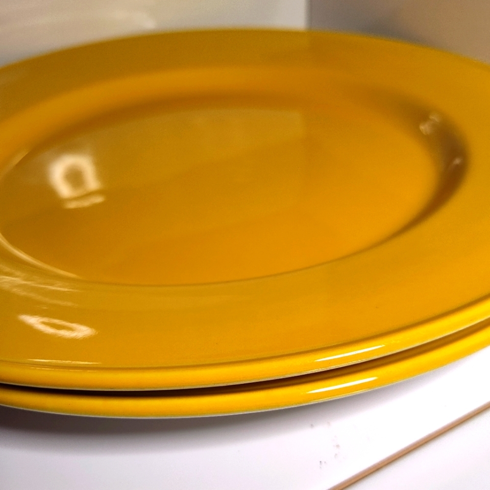 Steelite International Dinner Plates